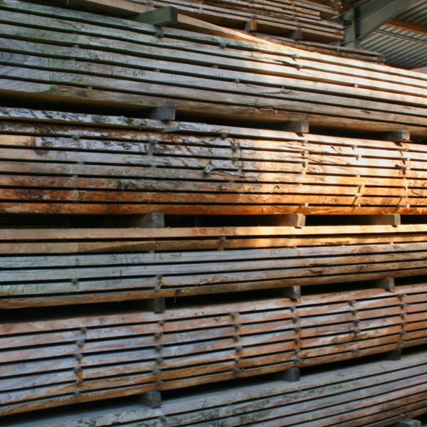 Holz - Blockware Eichenholz und Lärchenholz